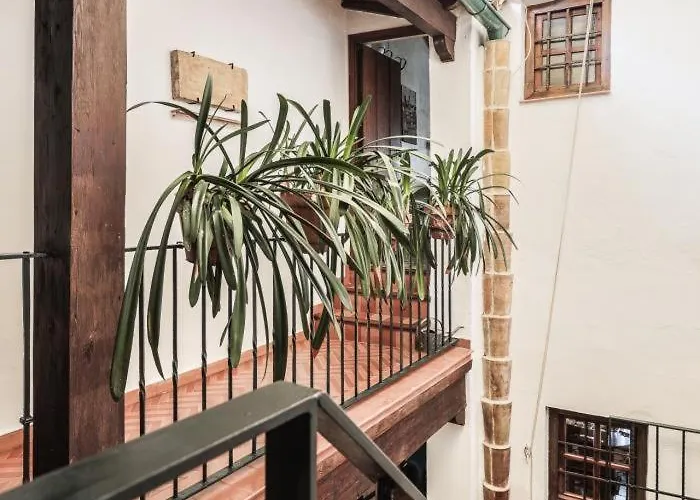 Casa De La Juderia 세비야